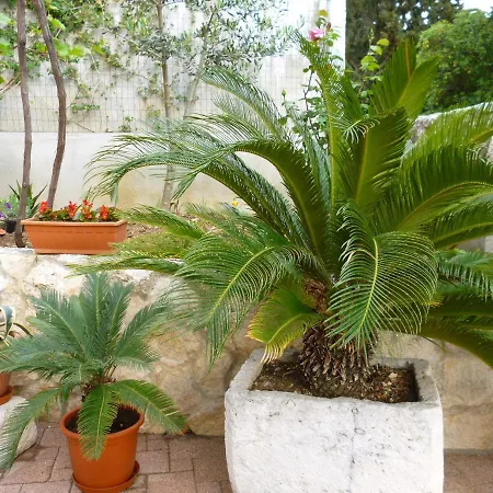 Apartman Jani Hvar Town